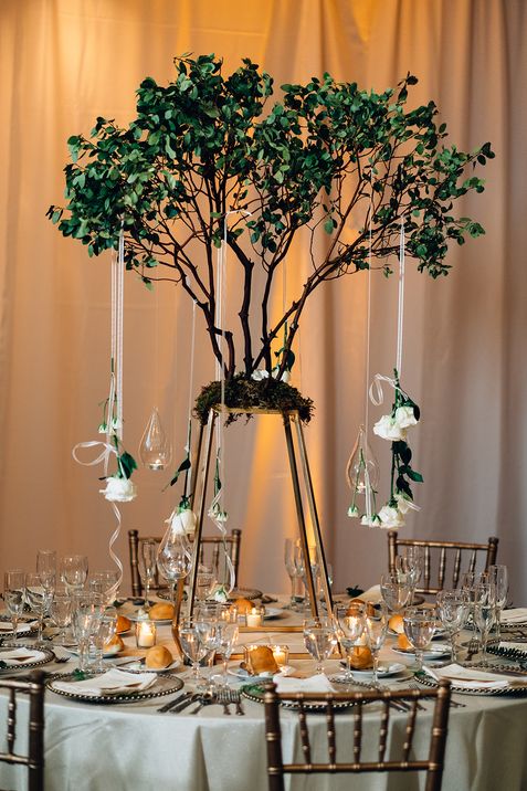 Decoración- Stem Events