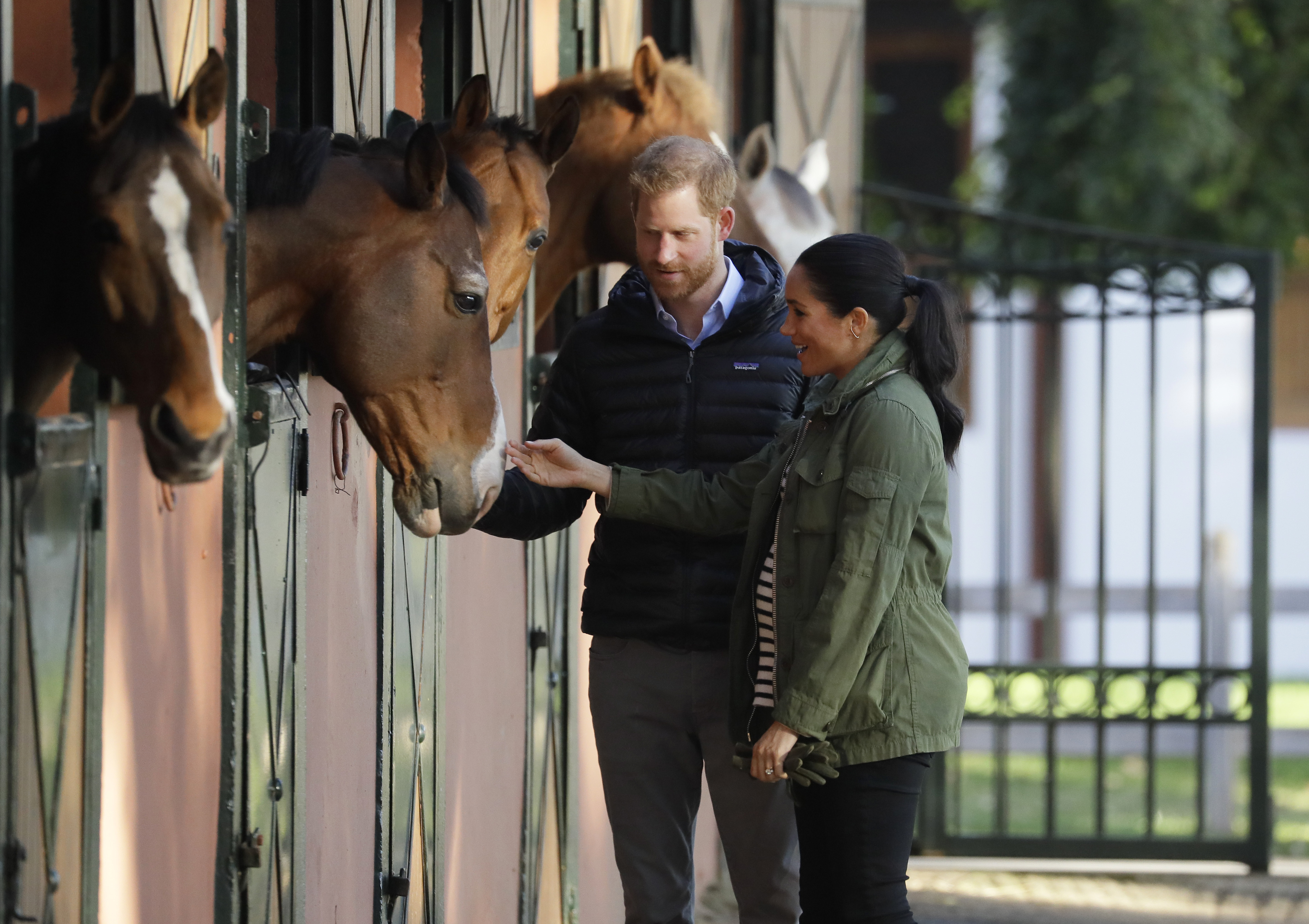 El Príncipe Harry y Meghan Markle acarician un caballo durante su visita a la Real Federación de Deportes Ecuestres de Marruecos. (AP)