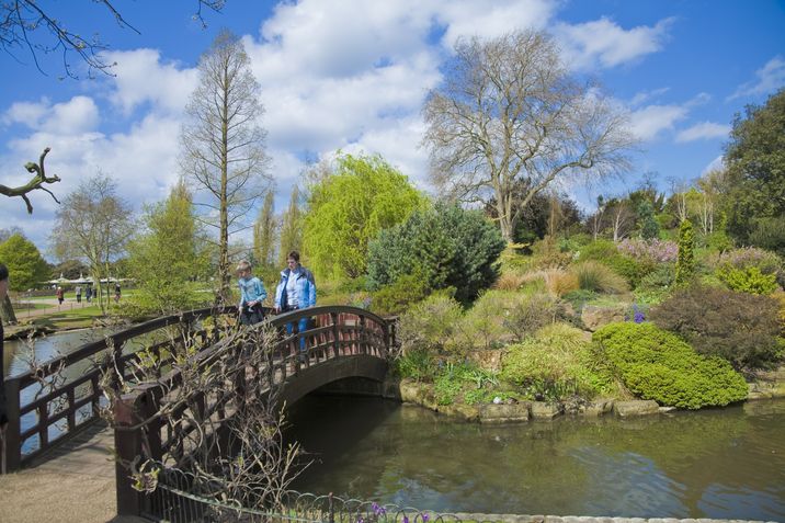 Regent's Park, en Londres.