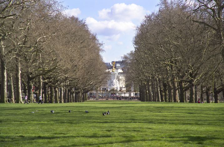 Vista del parque frente al Buckingham Palace, residencia oficial de la reina de Inglaterra.