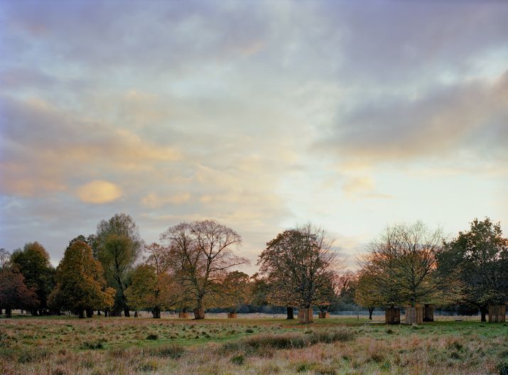 Imagen otoñal de Bushy Park.