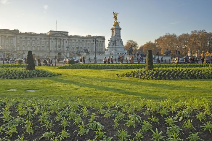 Imagen de la explanada de Buckingham Palace y sus jardines anexos.
