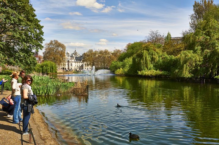 Vista del St. James Park, con el palacio al fondo.