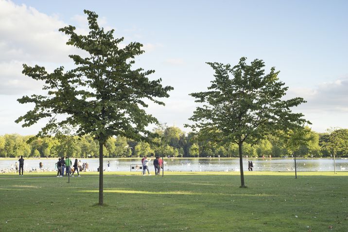 Una vista del paseo de Kensington Gardens, en el centro de Londres.