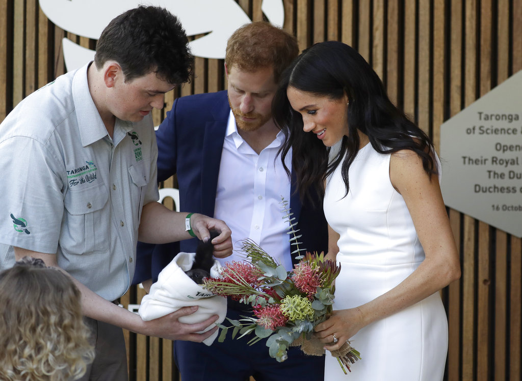 El príncipe Harry y Meghan observan una cría de marsupial llamada planeador de barriga amarilla en el zoológico de Taronga. (Foto: AP)