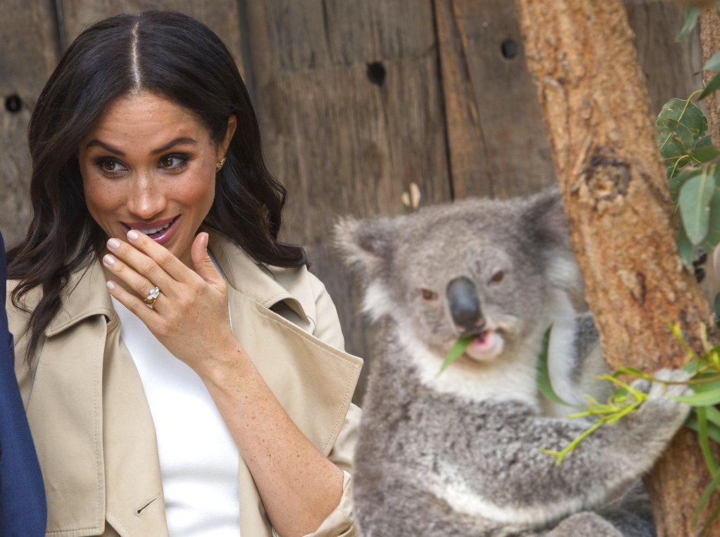La duquesa de Sussex sonríe al conocer a la mamá koala cuya cría se llama Meghan durante su visita al Taronga Zoo en Sidney, Australia. (Foto: AP)