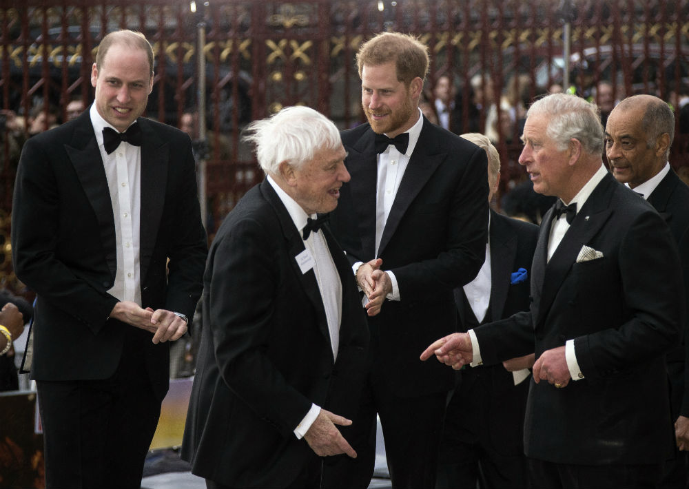 Los príncipes fueron recibidos por el naturalista británico, David Attenborough, quien prestó su voz para narrar la historia. (AP)
