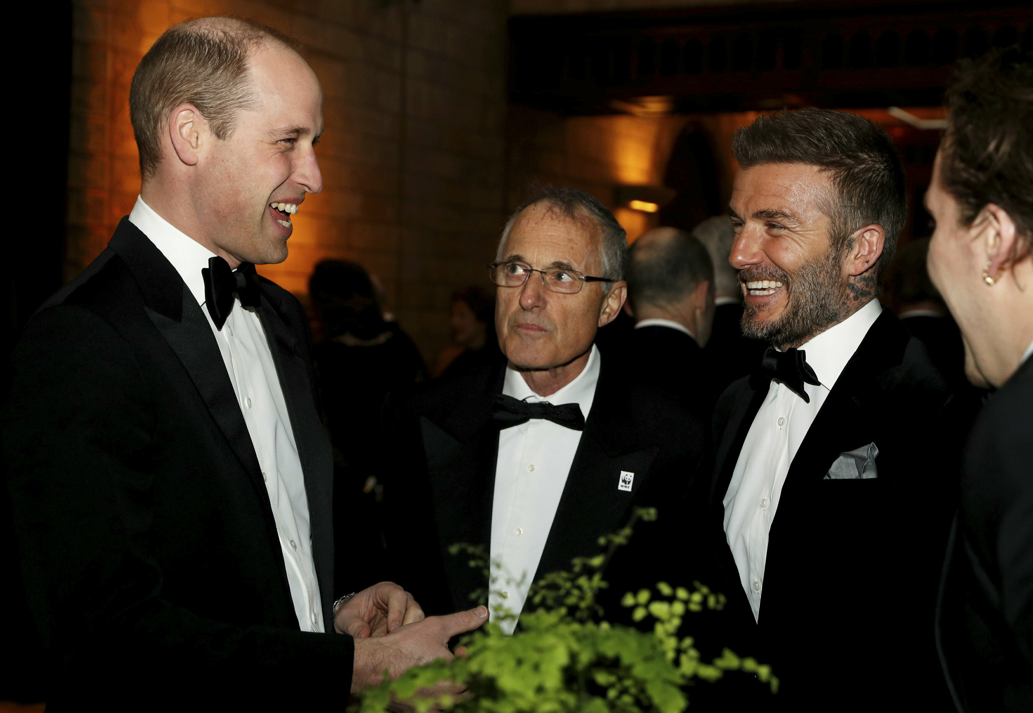 El documental está dividido en ocho partes, que muestra las especies más amenazadas del planeta y sus hábitats. En la foto: el príncipe William y David Beckham junto a otros asistentes. (AP)