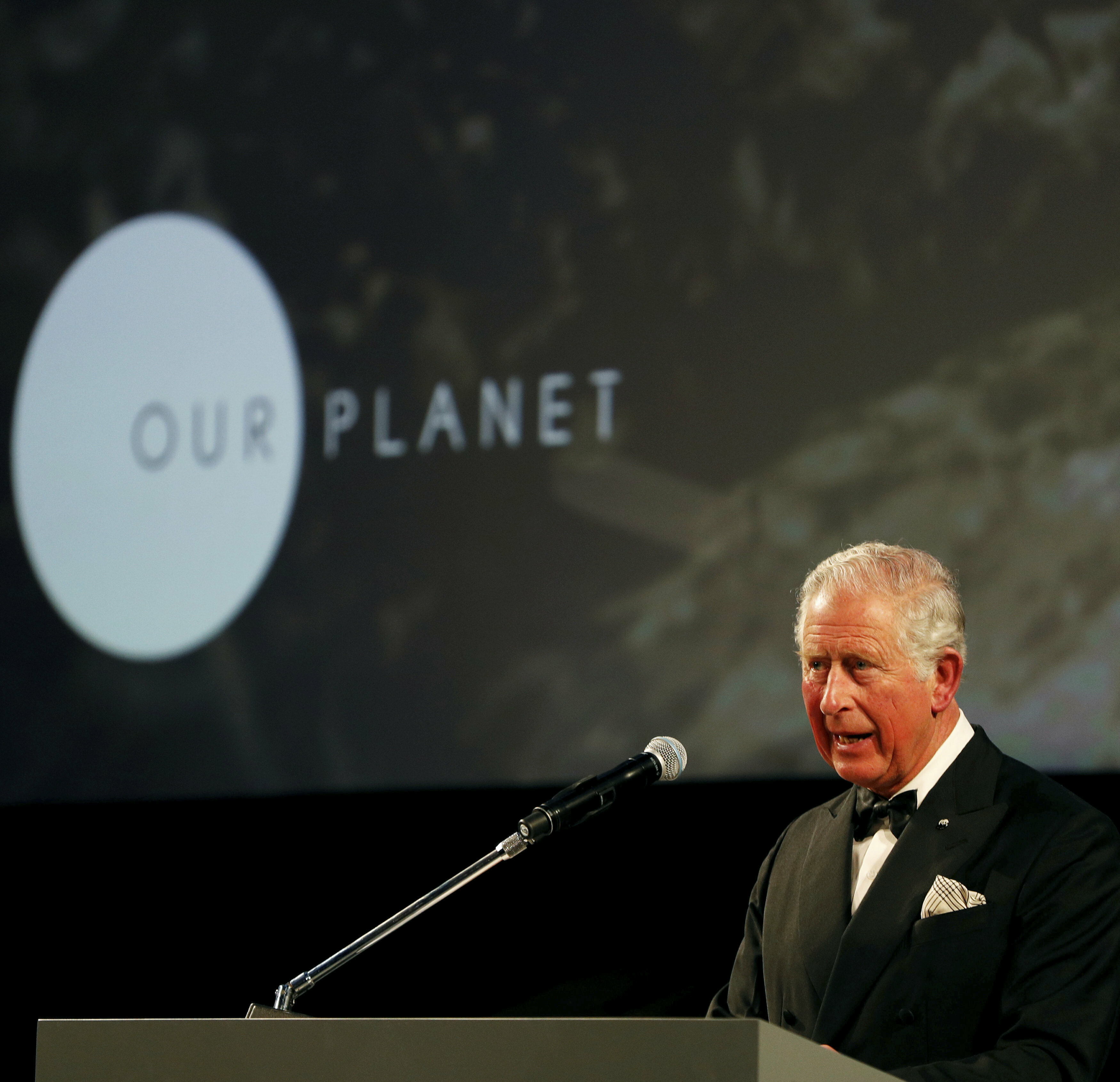 Charles se dirigió a los asistentes al estreno. El príncipe de Gales hizo su primer discurso sobre el medio ambiente en 1968 y desde entonces ha alzado su voz en pro del planeta. (AP)