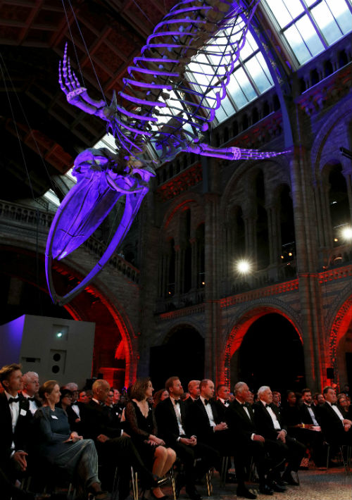 El Museo de Historia Natural de Londres sirvió de escenario para el lanzamiento de esta nueva producción de la plataforma de “streaming” Netflix. (AP)