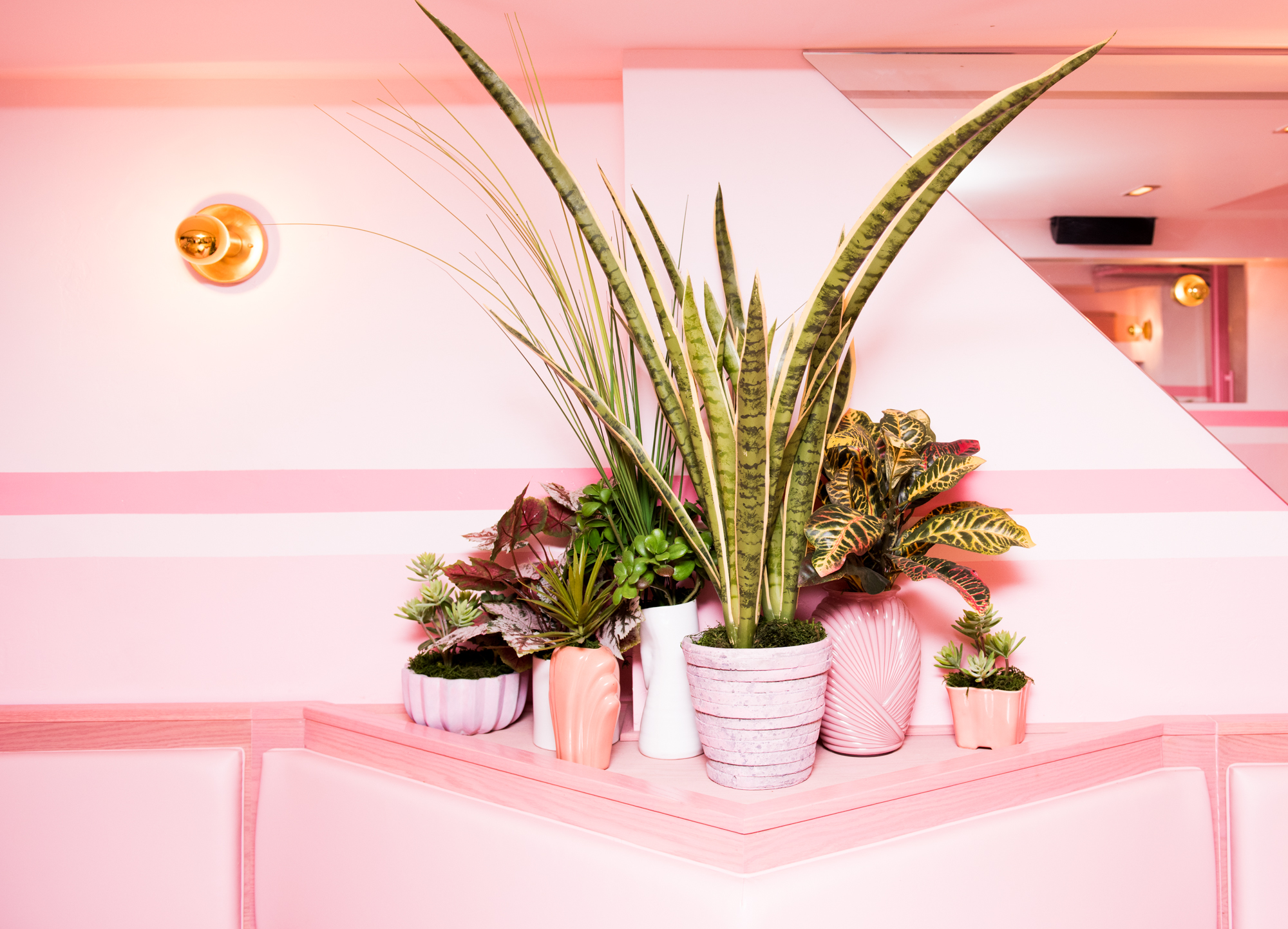 Puedes crear un rincón con el color preferido por las Millenialls para las plantas de tu casa. Foto WGSN.