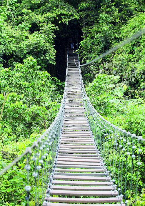 Toro Verde, en Orocovis. Contacto: (787) 867-7020 reservaciones@toroverdepr.com (Suministrada)