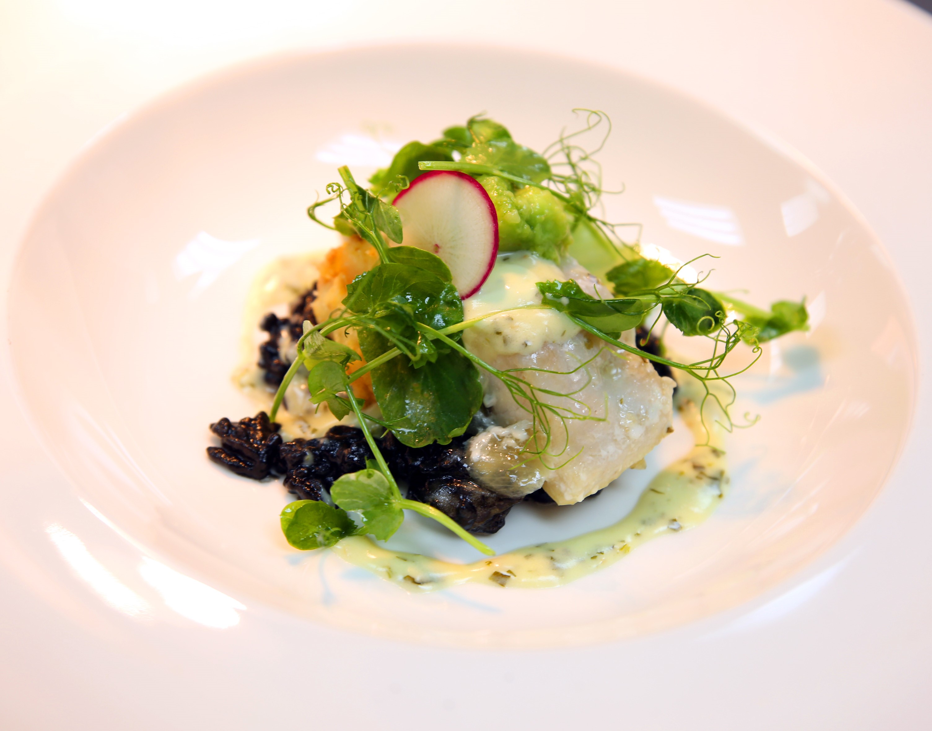 Pesca local sobre Arroz sepia, aguacate y berro del patio con emulsión de cilantro y tarragón. Foto suministrada.
