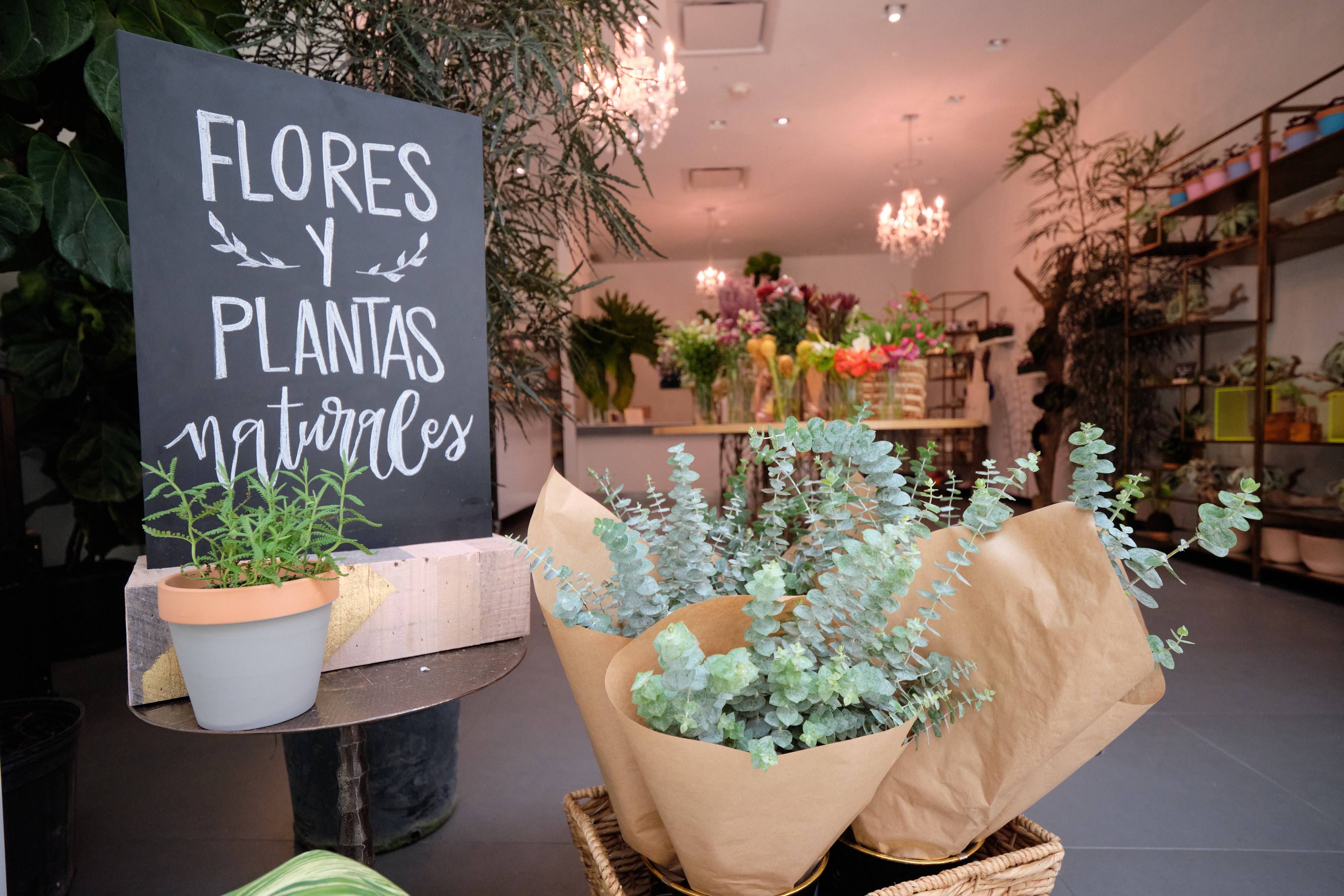 Ve a la segura – Si tienes dudas en qué regalas, un arreglo de flores es esa opción infalible. especial. Consigue desde plantas naturales hasta un arreglo floral en The Flowers Culture, en The Mall of San Juan. (Suministrada)