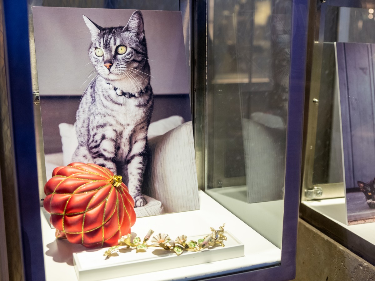Catálogo navideño une la joyería con tiernas imágenes de mascotas