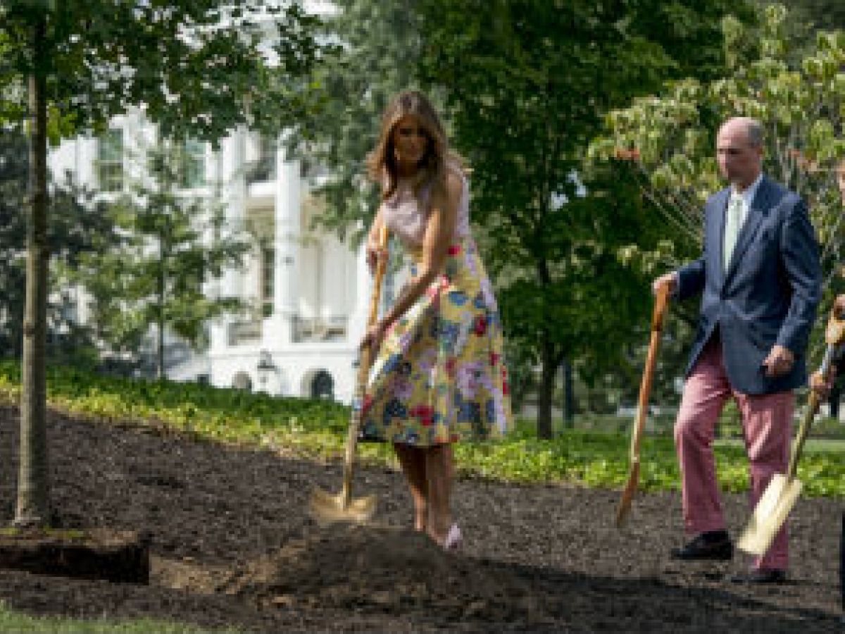 Melania Trump siembra un árbol luciendo un costoso ajuar