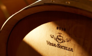 Vega Sicilia: tempo de evolución